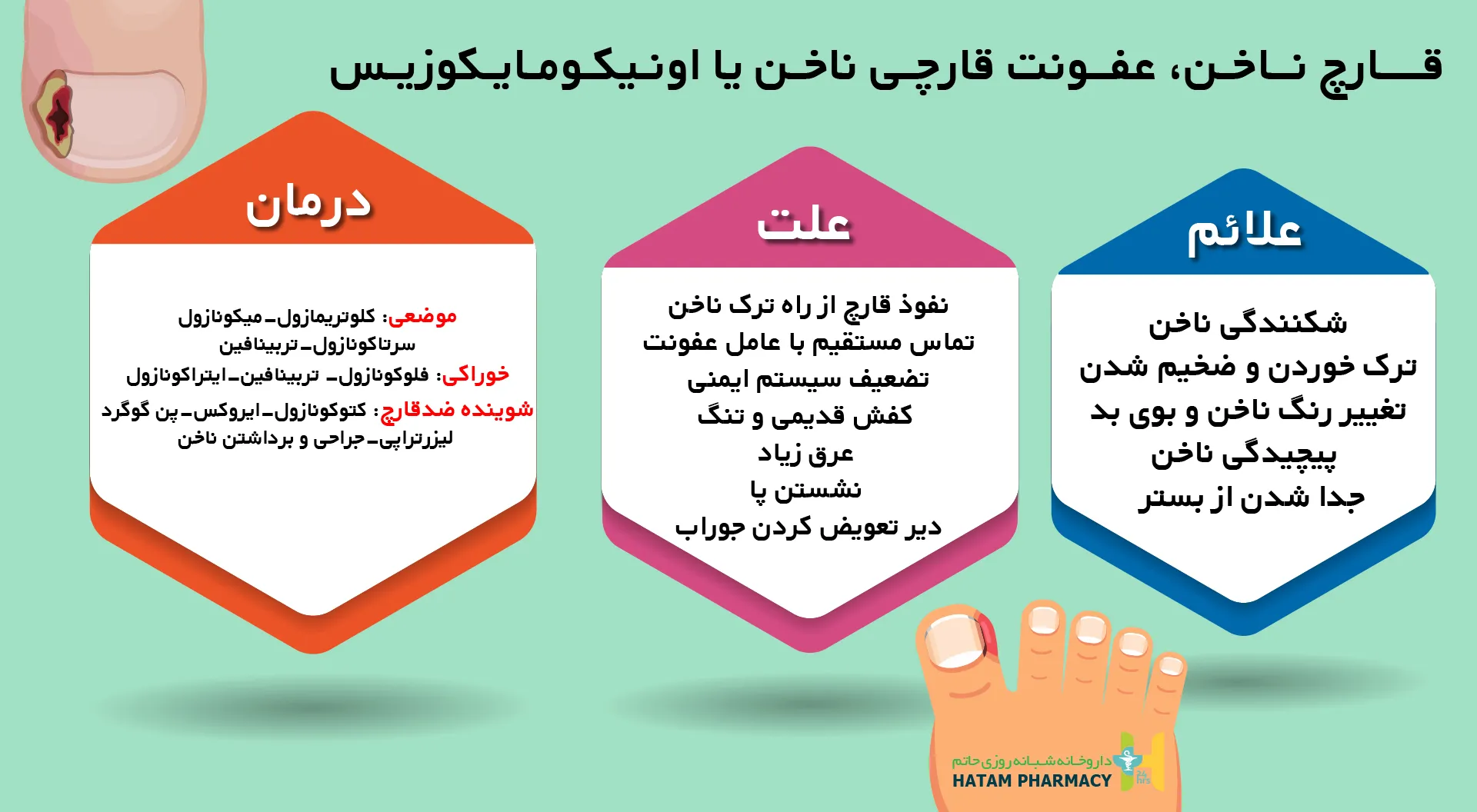 همه چیز درباره قارچ ناخن